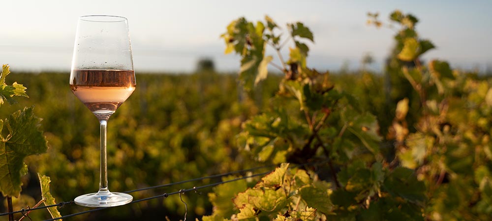 Sip Your Way Through Idaho Wine and Cider Month in Garden City