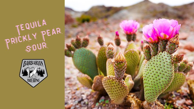 Thor’s Day Release: Tequila Prickly Pear Sour