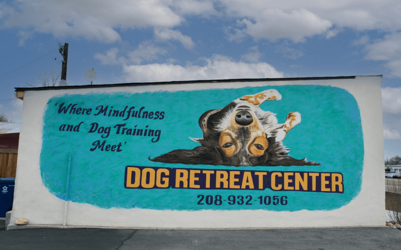 dog retreat center art mural